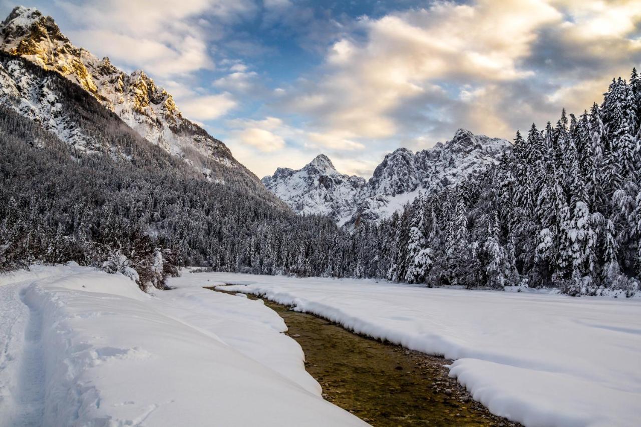 Apartma Manca Kranjska Gora Eksteriør bilde