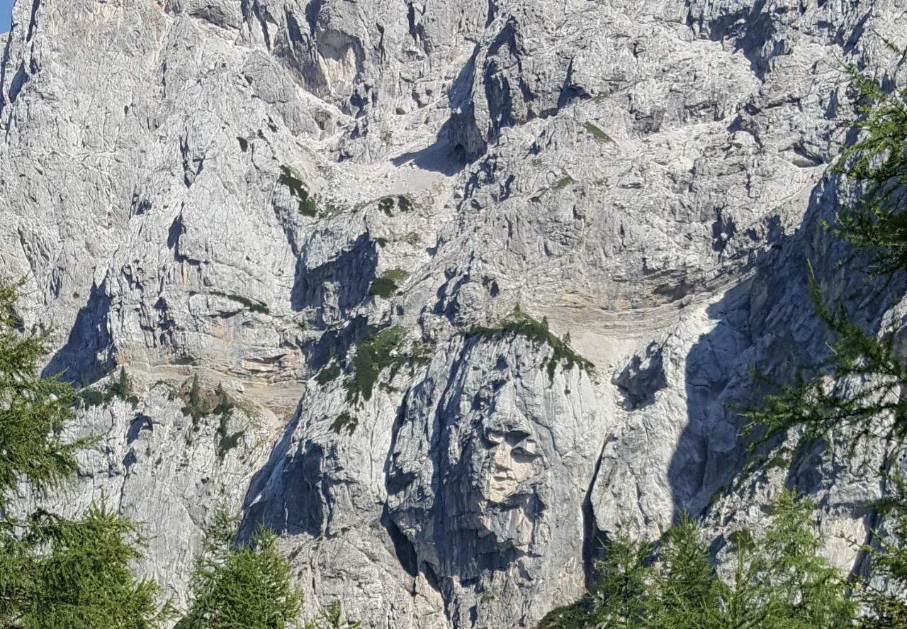 Apartma Manca Kranjska Gora Eksteriør bilde