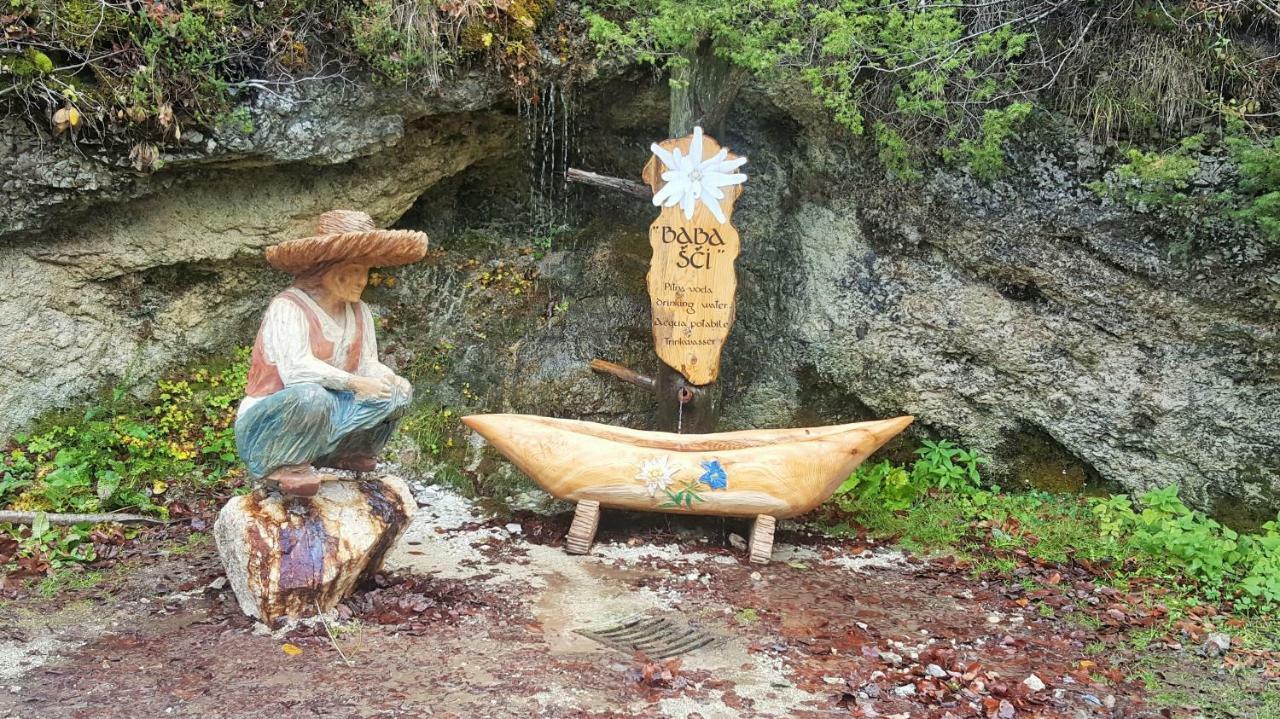 Apartma Manca Kranjska Gora Eksteriør bilde